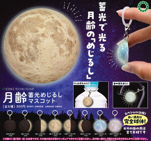 y3Ĕ̗\z STC  ~߂邵}XRbg yS8Zbgz