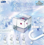 【11月発売予定】 氷に閉じ込めた本物の宝石めじるしチャーム 【全5種セット】 ※仮予約※