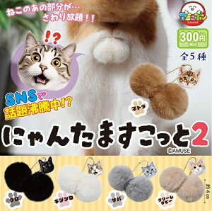 y3\z ɂ񂽂܂2 yS5Zbgz \