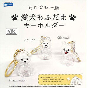 ǂłꏏ ӂ܃L[z_[ yez