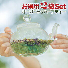 大袋2袋組み合わせ自由 ハーブティー 花粉症 オーガニック 宅配便送料無料 お得用サイズ選べるプレゼント1個つき