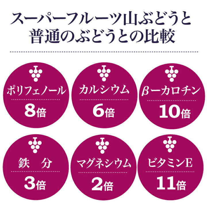 楽天市場 エナジードリンク 栄養ドリンク剤 ノンカフェイン ダイエット 健康 妊婦 産前産後 女性 疲労回復 カフェインレス 出産祝い ギフト ポリフェノール 山のきぶどう100ml 10本 ハーブティー クレイ 岩塩専門店