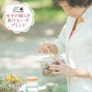 n[ueB[ I[KjbN  uh XN Mtg D  tFl zT|[g o XN ̔Y݂ɃM[TCYqfBoXr`OX֑