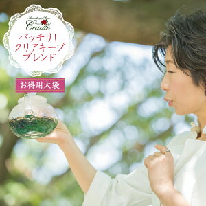 N[| n[ueB[  I[KjbN ڂ̔ bNX uh Mtg  OX z pTCYqV[eBOX^[rlR|X֑