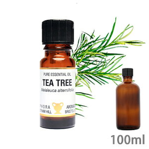 Ɩp A}IC eB[g[ 100ml e Tp TCY CMX VR  GbZVIC A} bNX tbV ₵ 