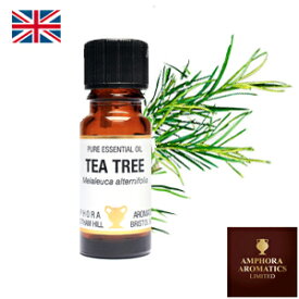 楽天市場 アロマライト 香りティートゥリー アロマ お香 美容 コスメ 香水 の通販