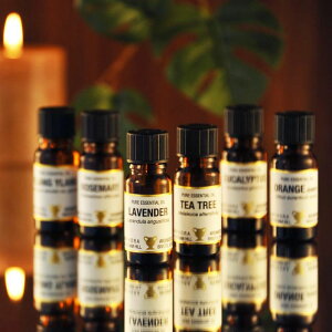 A} A}IC GbZVIC 10ml×6{ IC  [Y}[ eB[g[ [J x_[ IW XC[g CC Zbg  VR 100% Mtg  v