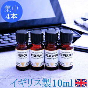 A} A}IC GbZVIC 10ml×4{ IC  [Y}[ yp[~g [J   VR 100% Mtg j  v[g Ẃ@Ĺ@׋@d