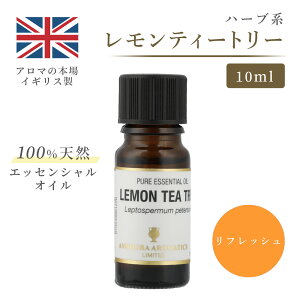 A}IC eB[g[ 10ml CMX VR100% b GbZVIC A} bNX Mtg v[g tbV ₵ W ׋ A}es[ TEi