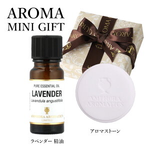 A}Mtg A} MtgZbg AtH A}IC CMX VR100% x_[ 10ml A}Xg[bGbZVIC ~jMtg A}ICZbg Mtg v[