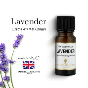 A}IC x_[ 10ml CMX VR100% b GbZVIC A} bNX Mtg v[g   tbV ₵ W ׋ A}es[ TEi