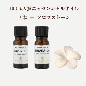 A}IC Zbg e10ml×2{+A}v[g VR100%bA}Xg[ GbZVIC A}ICZbg A}Zbg Mtg A} bNX  L W ׋ TE