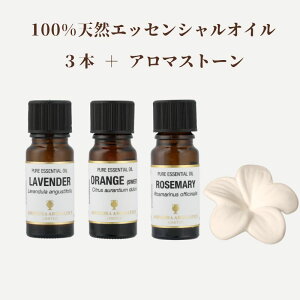 A}IC Zbg e10ml×3{+A}v[g VR100%bA}Xg[ GbZVIC A}ICZbg A}Zbg Mtg A} bNX  L W ׋ TE
