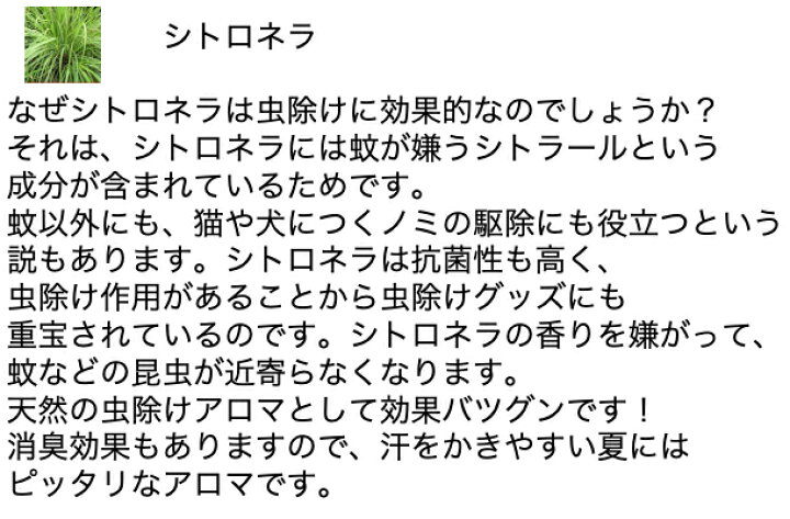 楽天市場 アロマ虫除けスプレー 30ml オーガニック シトロネラ レモンユーカリ レモングラス ラベンダー 送料無料 メール便 夏のアウトドア用虫除け 虫よけ に 100 天然成分 蚊除け 蚊よけ 虫除け アロマ 子供 虫除けスプレー 天然 ディート不使用 Aroma Shop Deer 楽天市場 アロマ虫除けスプレー 30ml オーガニック シトロネラ レモンユーカリ レモングラス ラベンダー 送料無料 メール便 夏のアウトドア用虫除け 虫よけ に 100 天然成分 蚊除け 蚊よけ 虫除け アロマ 子供 虫除けスプレー 天然 ディート不使用 Aroma Shop Deer