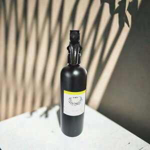 V@fIhg@A}Xv[@LXv[@I[KjbNXv[@A} 500ml@@u₩ȍ z