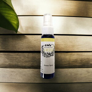 fIhg@A}Xv[@LXv[@I[KjbNXv[@A} 30ml@₷TCY@u₩ȍ [֔z@