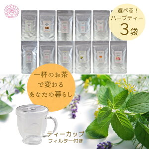 IׂI 3̃n[ueB[ eB[Jbv Zbg  Mtg v[g S12 ܂Ƃߔ  ^wX XgX PA n[ueB[ mJtFC F  lH