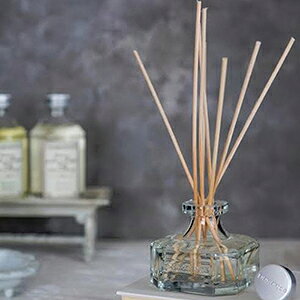 yP10{z1~7cƓo DURANCE fX tOXu[P 100ml [hfBt[U[ F  XeBbN [tOX Ki [teaitem]