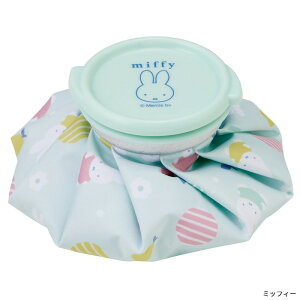 ACXobO STCY X̂ |PbgX^[ LN^[ JԂg ICB1 skater XP[^[ MǑ΍ ⊴ObY  ~ ۉ 䂽ۑɂ ^ s  LbY w o