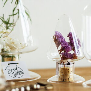 c[^V[h{g () 13cm 22588 e CeA  u ϔMKX