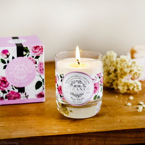 1~7cƓo DURANCE fX GXvEhDEfX PLANT vg Lh  tXY 180g