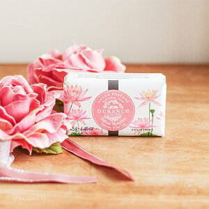 1~7cƓo GXvEhDEfX \[v 125g PLANT fP[g EH[^[[ DURANCE  Mtg v[g tXY 1000~