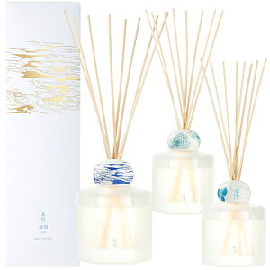 yP10{z1~7cƓo AO AI [hfBt[U[ { XeBbNKX{g 100ml 2tOX