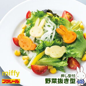 ~btB[ ٓObY 킭킭킢`̖ؔ^ 2Zbg LKVN1 {  `ObY  Lb`G v[