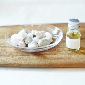 TOLEWA g tOXyu { ΂ɃtOXIC𗎂ƂĎgp CeA  F A} 