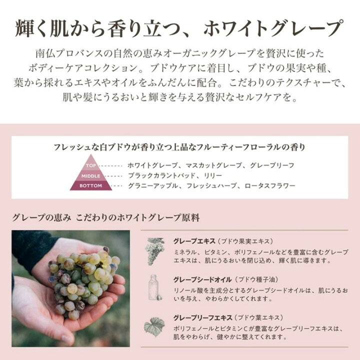 楽天市場】【9日20時~マラソン期間P10倍】パニエデサンス 500ml 