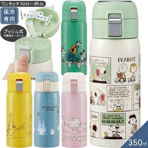 y1920~}\P10{z {g fB[X ^b`Xg[{g LbY v[ LeB  킢 XP[^[ STOT3ST ۗp 350mL