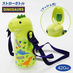 Xg[{g 420ml vbV  PSHC4DK LbY xr[ XP[^[  vbV fBmTEX  Xg[^Cv V_[xgEOV[t