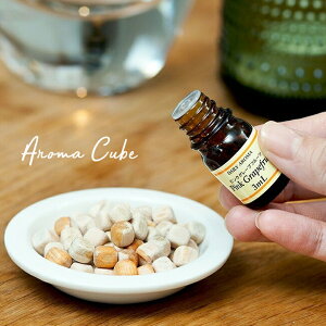 A}L[u qmL  5mm 12g A}Ebh w Ђ̂ y[֑Ή\z [tOX Vv i` CeA 