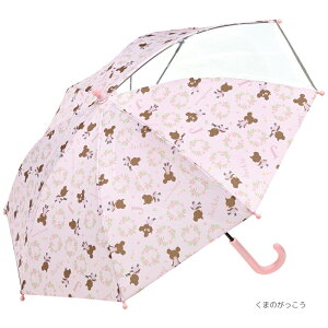 P LbY 45cm J t UB45 qp 5~8 OXt@Co[ XP[^[ LN^[ 킢 ct w w j 