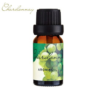 Vhl A}IC e  v`Mtg ~jMtg Ԃǂ̍