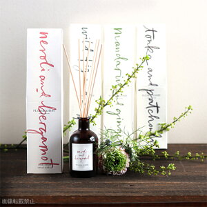 y420~}\P10{zPLUMASHBY tOXfBt[U[ 100ml XeBbN  KX{g A} AR[t[  F v[g j Mtg ̓