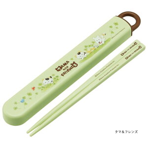  qǂ HΉ XCh  R { ABS2AMAG XP[^[ H wZObY j̎q ̎q OV[ [