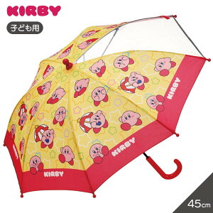P LbY 45cm J t UB45 qp 5~8 OXt@Co[ XP[^[ LN^[ 킢 ct w w j̎q ̎q wZObY JObY