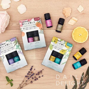 DAILY DELIGHT fC[fBCg 炵 Zbg2{ 100VR A}IC  v[g GbZVIC bNX F ̓ Mtg ~jMtg v`Mtg