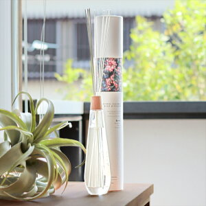y}\P10{ze BOTANICA fBt[U[ 300ml LTCY SHIZEN DIFFUSER lC̃{^jJ Old&New Mtgɂ҂ 킢  F  u^ XeBbN  av[