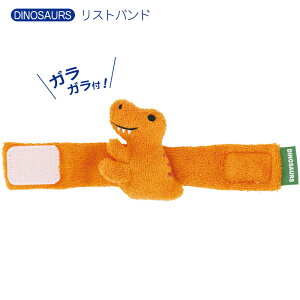 KK Ԃ ɂɂ  pCf OK xr[ObY  fBmTEX IW XP[^[ j̎q