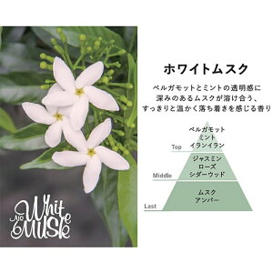 OZXyGrancensez N[[bg^O TVF tOX hAmu ㎿ȃuhA} ~jMtg v`Mtg [ j  lߍ킹pɂœK