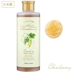 Vhl XNu {fB[\[v { Chardonnay Lbh\[v A} e  uhE {fBMtg v`Mtg v[g  ̓ NX}X a A z 