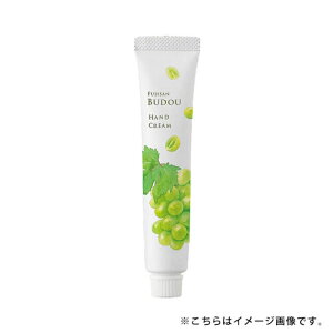 xmRԂǂ nhN[ ~jTCY 20g Ԃǂ }XJbg̍ v`Mtg ~jMtg gїp [ {