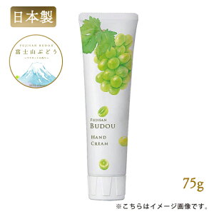 xmRԂǂ nhN[ 75g Ԃǂ }XJbg̍ v`Mtg ~jMtg gїp { fC[A}Wp e nhPA