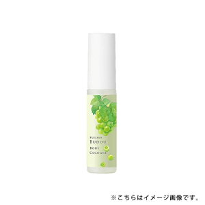 1~7cƓo xmRԂǂ {fBR A}  ^ѕ֗ [ Ԃǂ }XJbg̍ v`Mtg ~jMtg { fC[A}Wp e nhPA