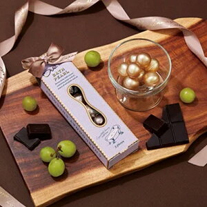 VhlVR ICCoXp[ Chardonnay  oXMtg v[g v`Mtg ~jMtg  킢  1000~ȉ