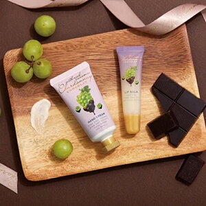 VhlVR MtgZbg Chardonnay nhN[ bvo[ bvPA Mtg v[g v`Mtg ~jMtg  킢 