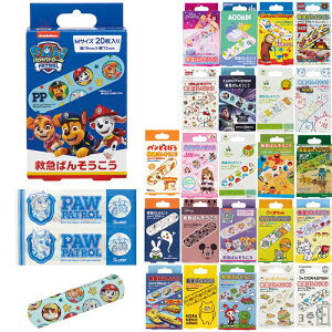 ~}o\ERE MTCY 20y2z Jnp QQB1 ǂ LN^[ [ pEEpg[