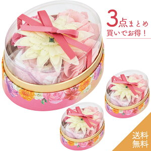 yPi&3_Zbgz v[g TNXI[oMtg [Y  ~j^IEoXt[ Days in Bloom ouoX fCYCu[ ~jMtg v`Mtg oXMtg bg 